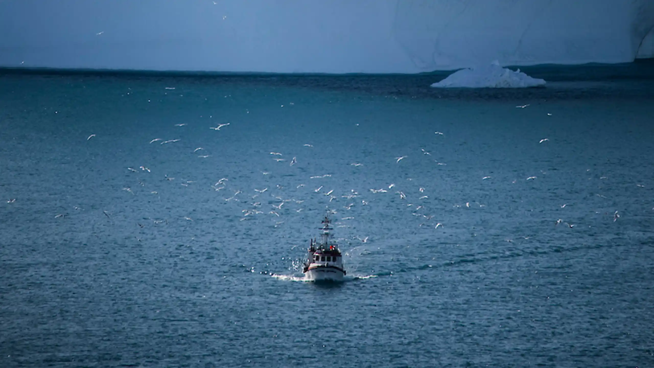 North Photo Aningaaq Rosing Carlsen Visit Greenland 345