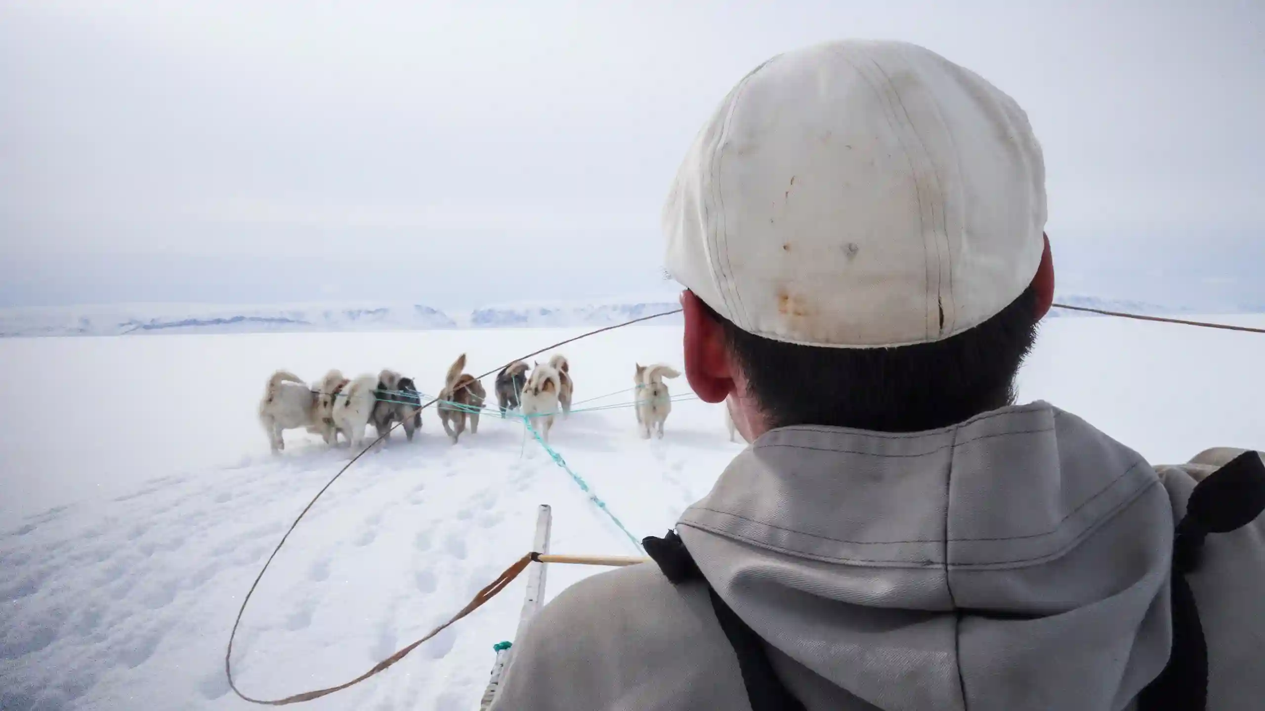On The Sled. Photo Kim Insuk, Visit Greenland