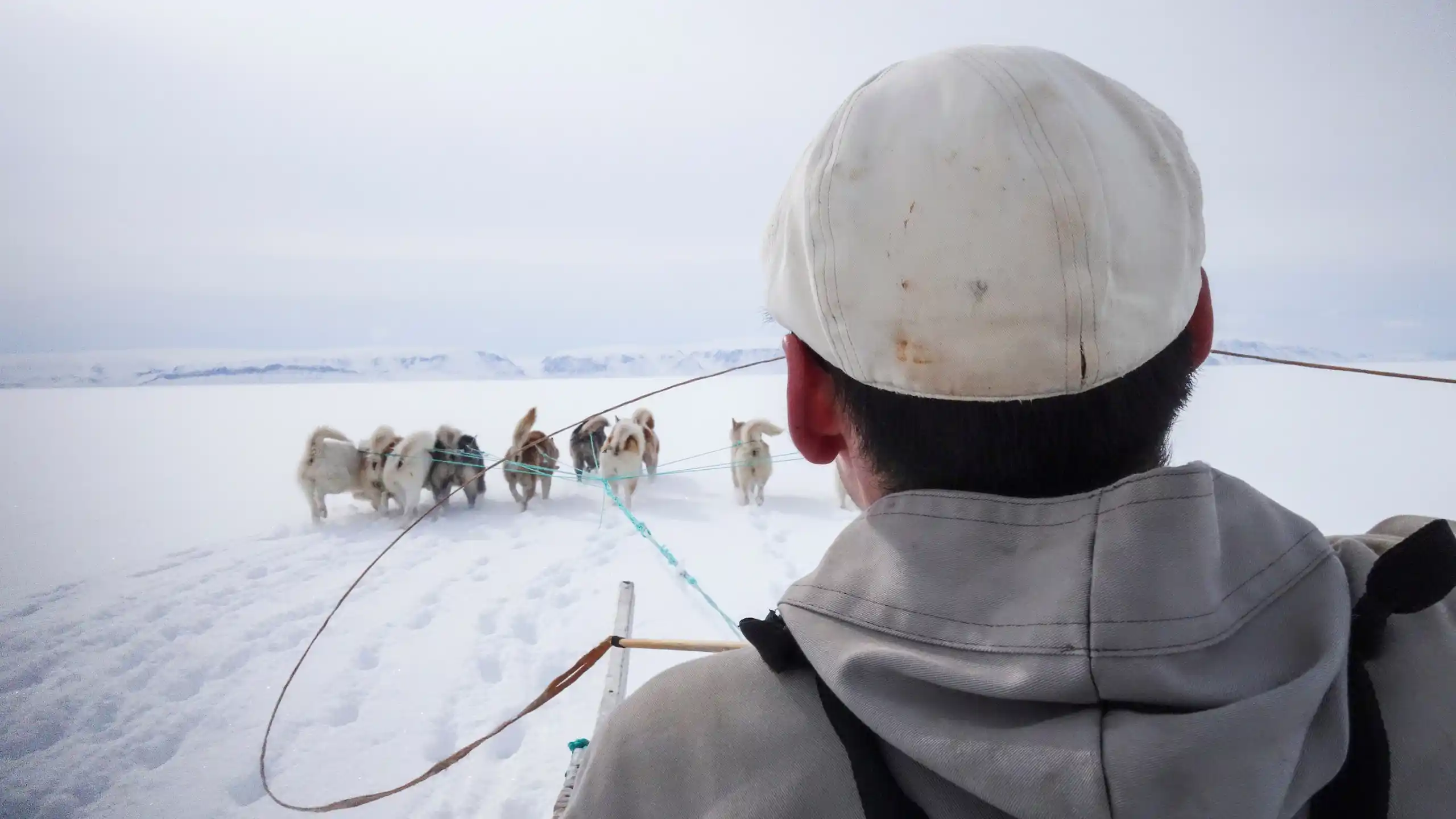 On The Sled. Photo Kim Insuk, Visit Greenland