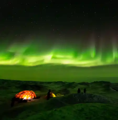 Foto Allan Tuxen NHM