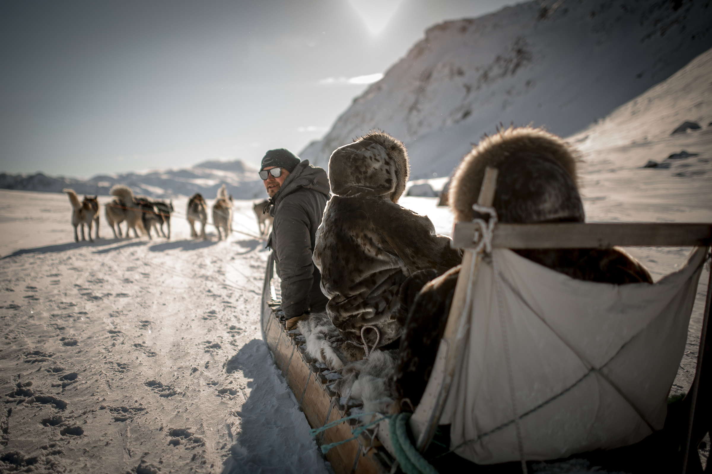 A Dog Sled Driver Looking Back On A Dog Sled Ride Near Sisimiut In Greenland