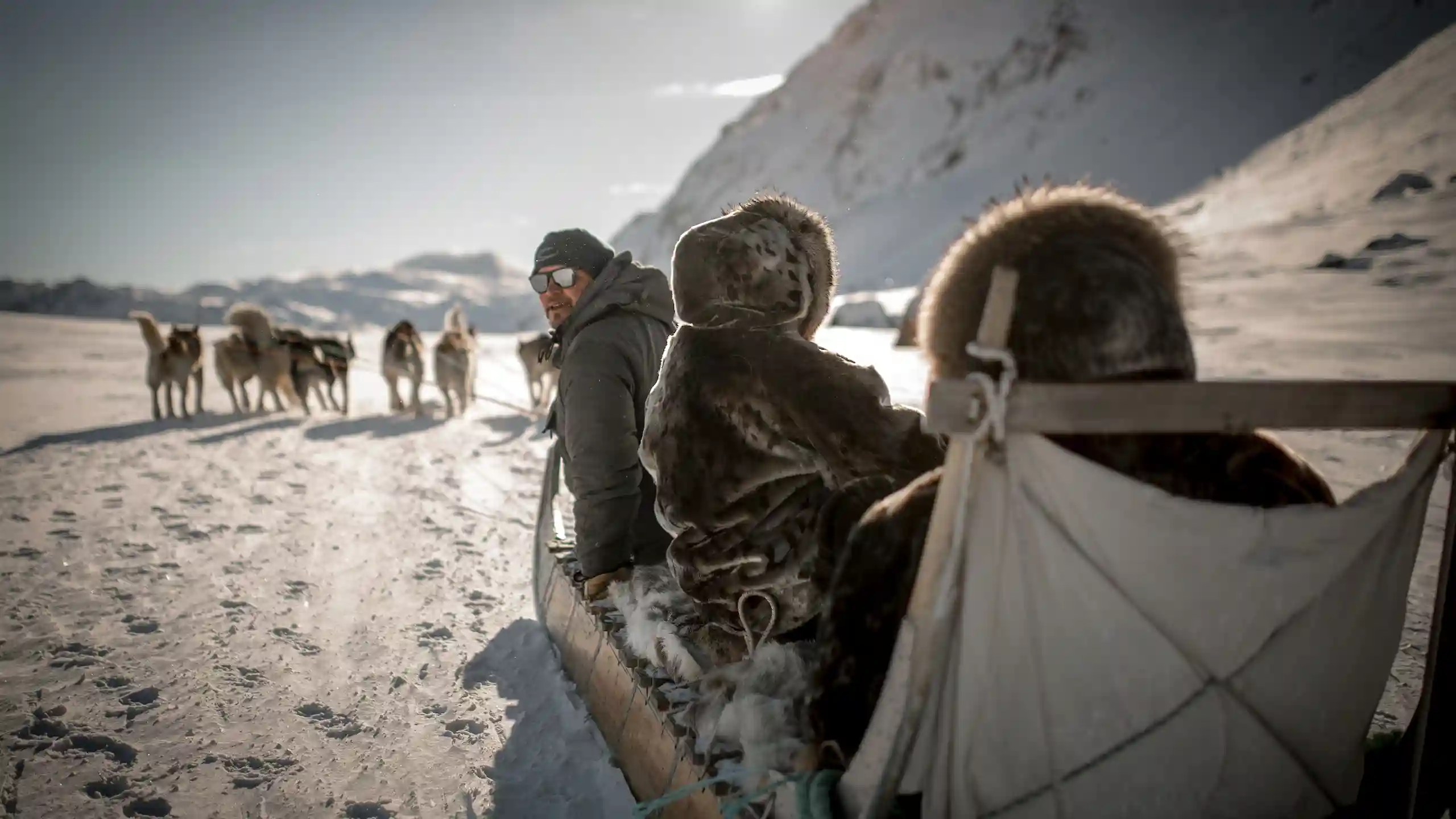 A Dog Sled Driver Looking Back On A Dog Sled Ride Near Sisimiut In Greenland