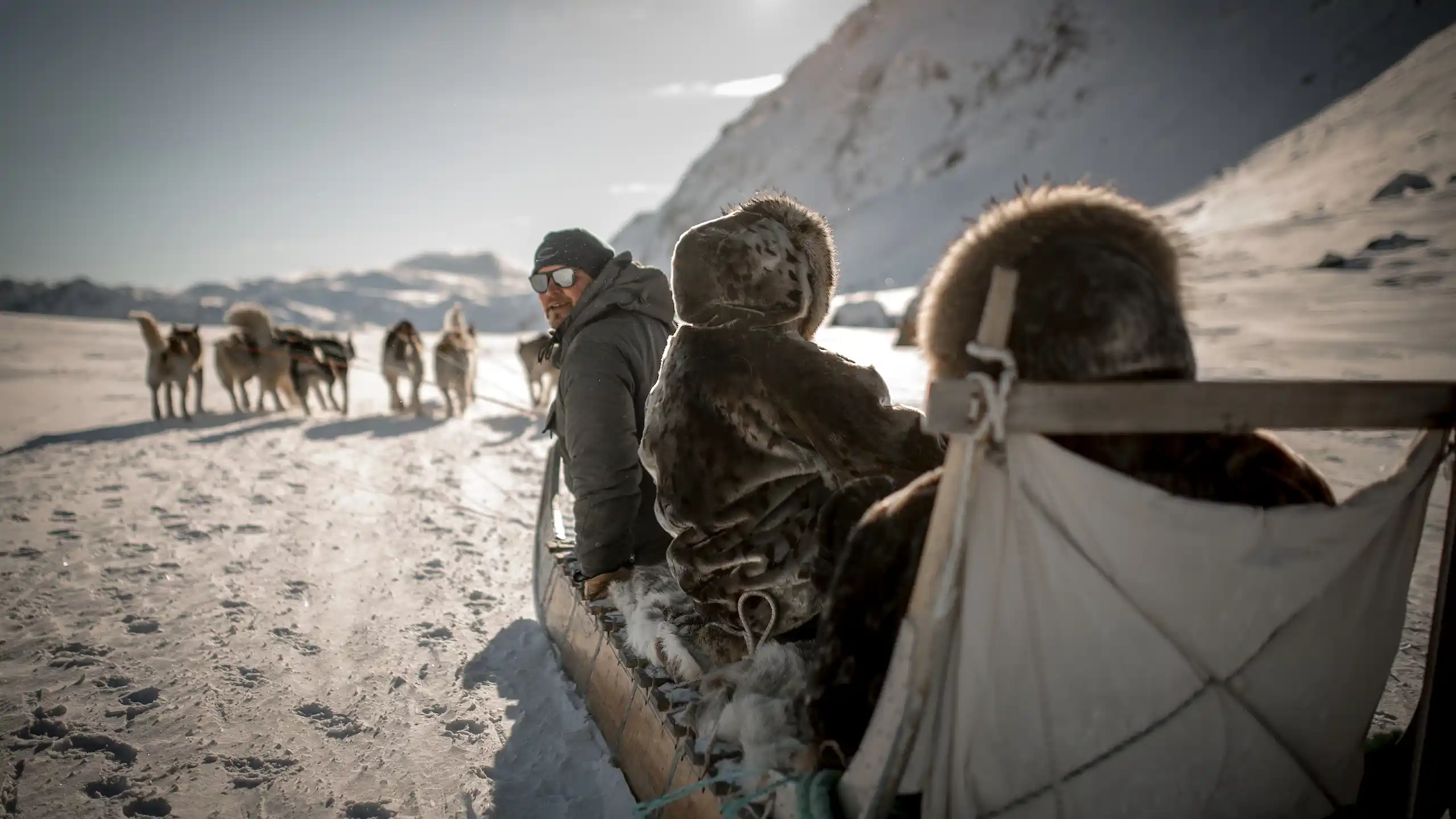 A Dog Sled Driver Looking Back On A Dog Sled Ride Near Sisimiut In Greenland