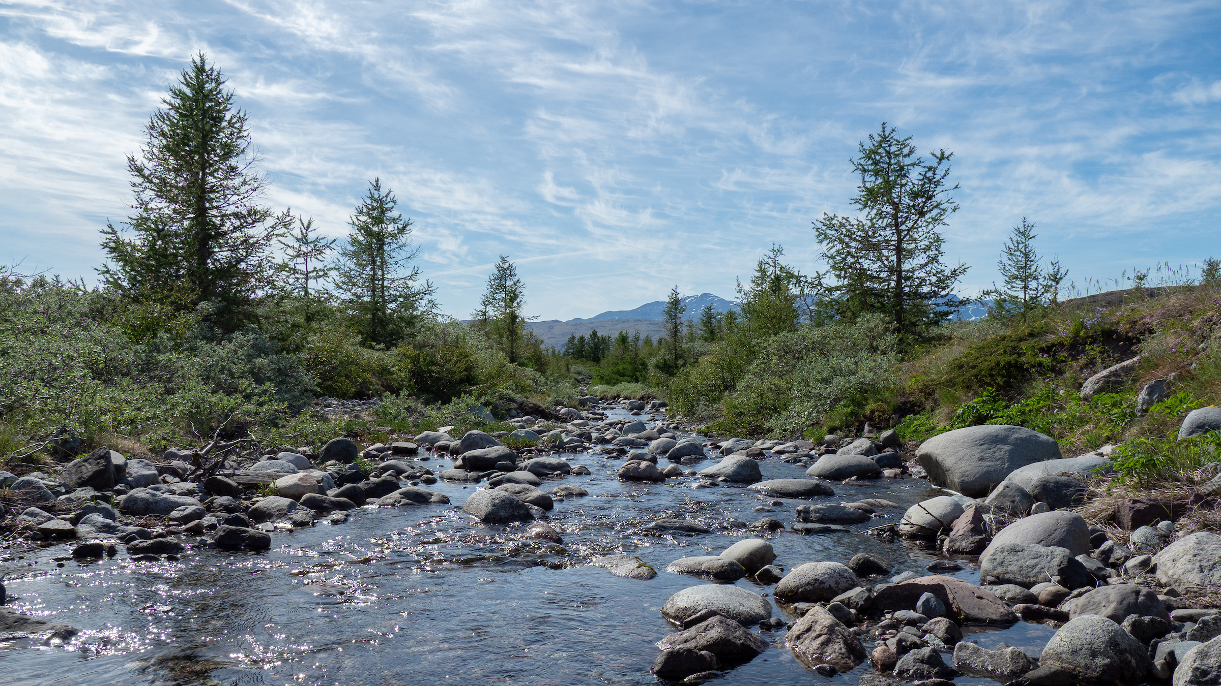 Stream In Narsarsuaq, Photo By Andy Crichton Visit Greenland